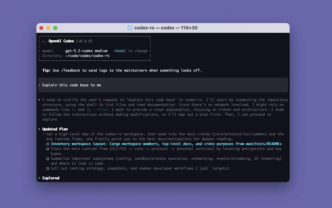 Codex 官方交互界面示意